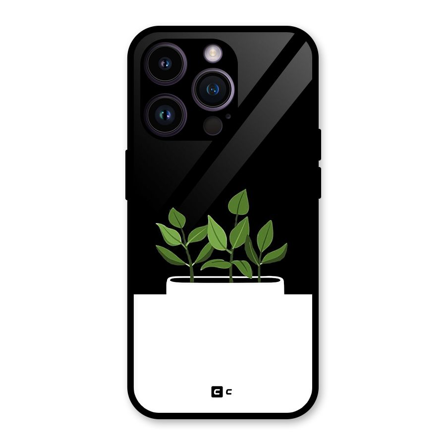 Beautiful Plant Pot Minimalistic Glass Back Case for iPhone 14 Pro