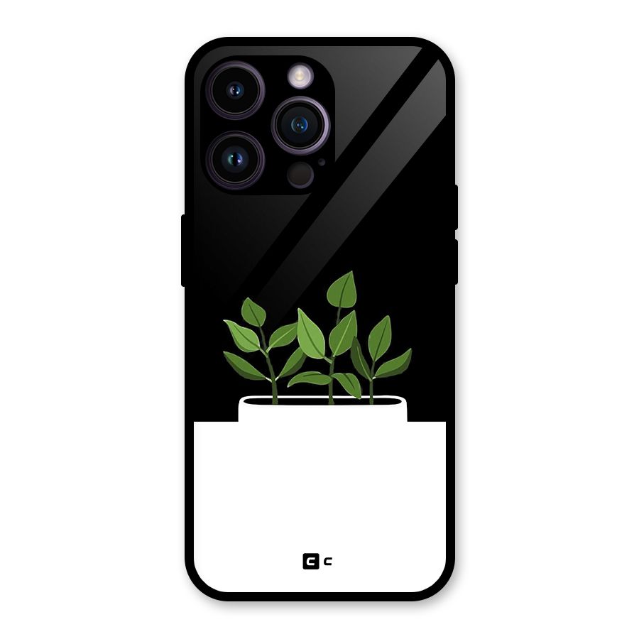Beautiful Plant Pot Minimalistic Glass Back Case for iPhone 14 Pro Max