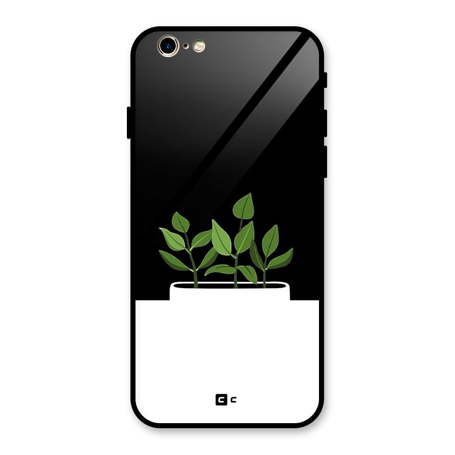 Beautiful Plant Pot Minimalistic Glass Back Case for iPhone 6 6S