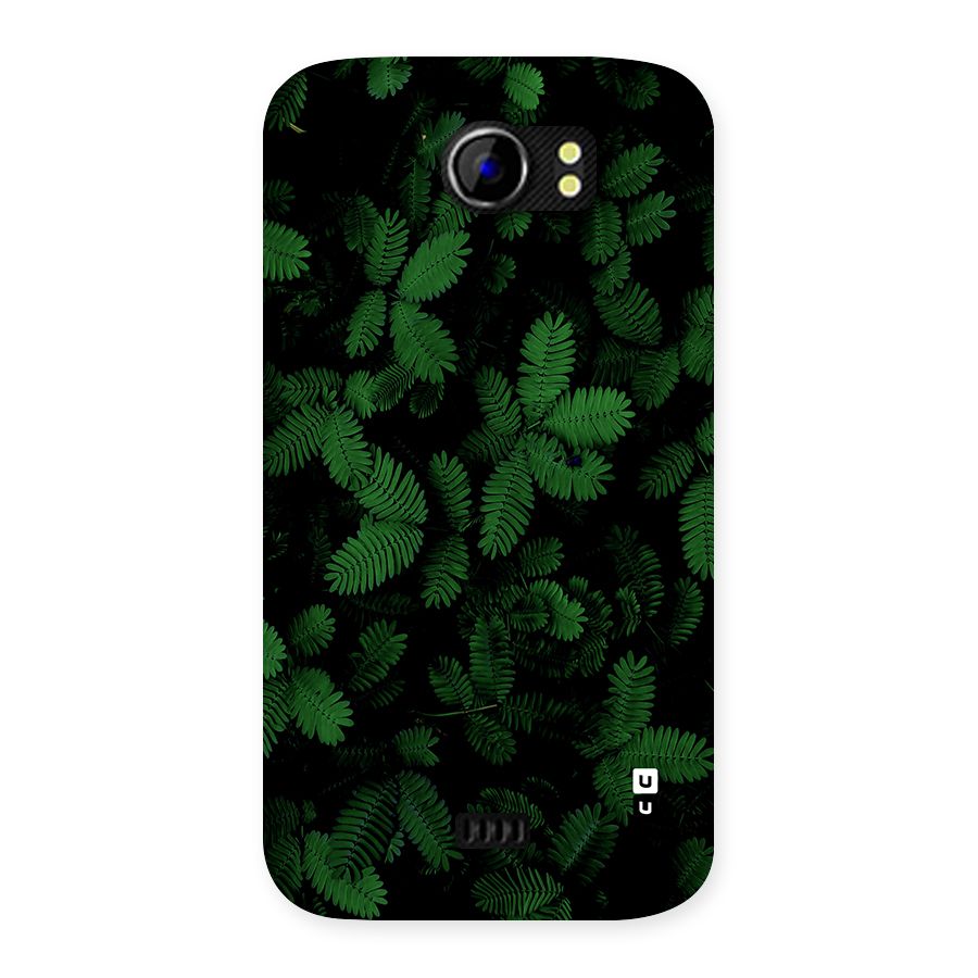 Beautiful Touch Me Not Back Case for Canvas 2 A110