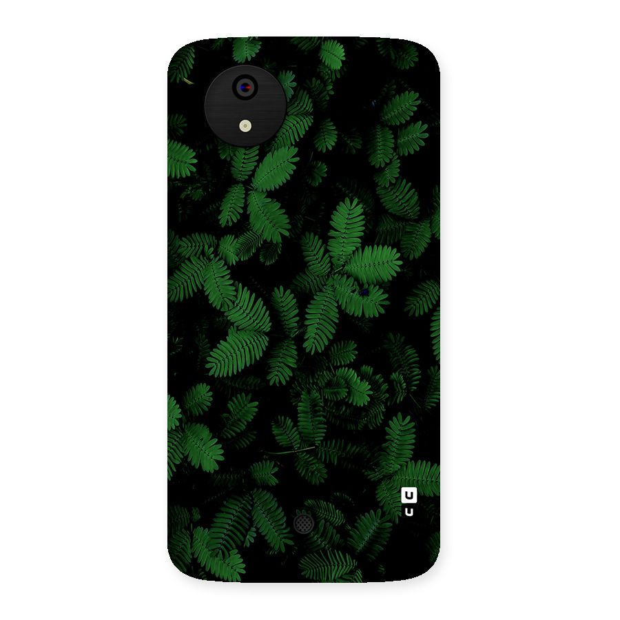 Beautiful Touch Me Not Back Case for Canvas A1  AQ4501