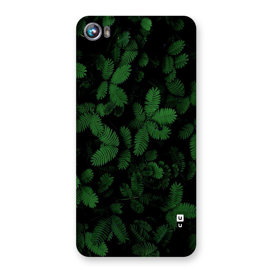 Beautiful Touch Me Not Back Case for Canvas Fire 4 (A107)