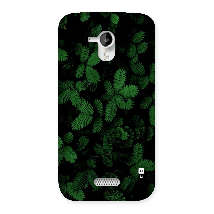 Beautiful Touch Me Not Back Case for Canvas HD A116