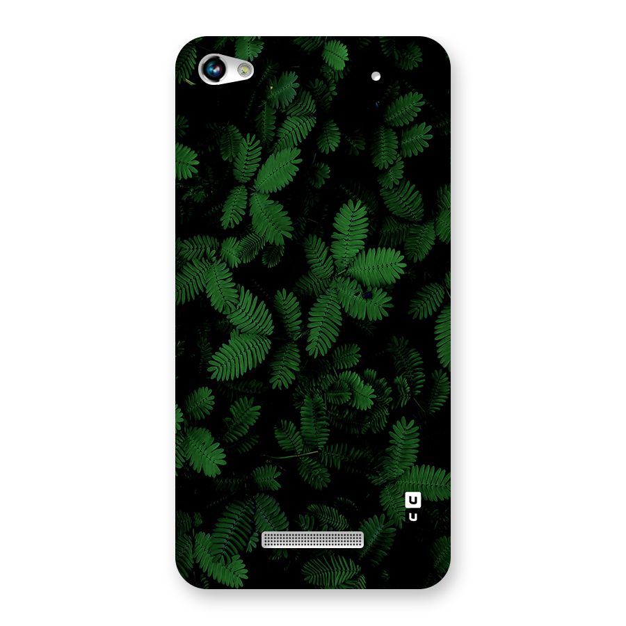 Beautiful Touch Me Not Back Case for Canvas Hue 2 A316
