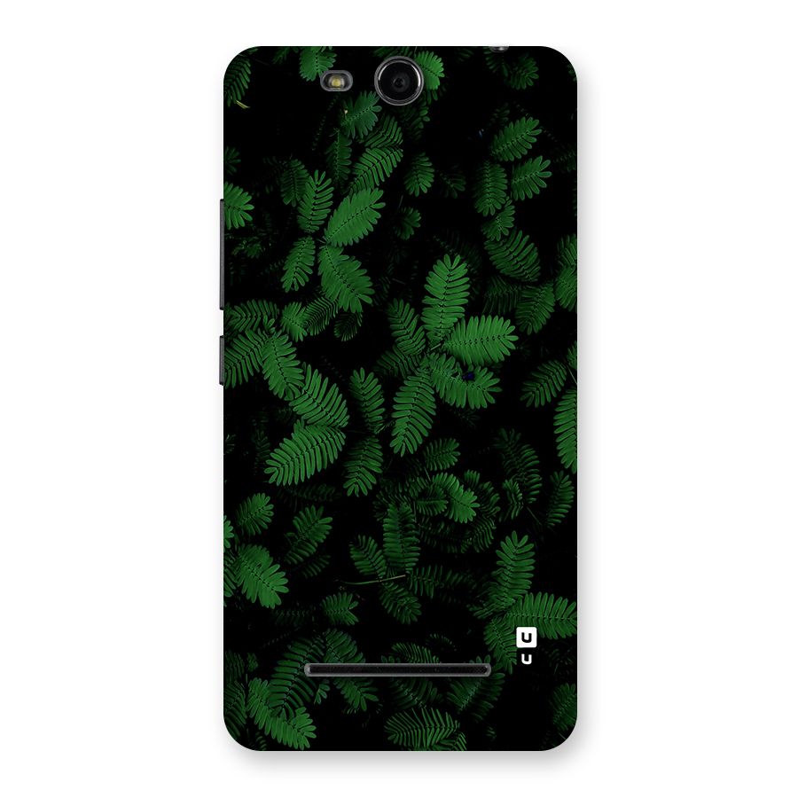 Beautiful Touch Me Not Back Case for Canvas Juice 3 Q392