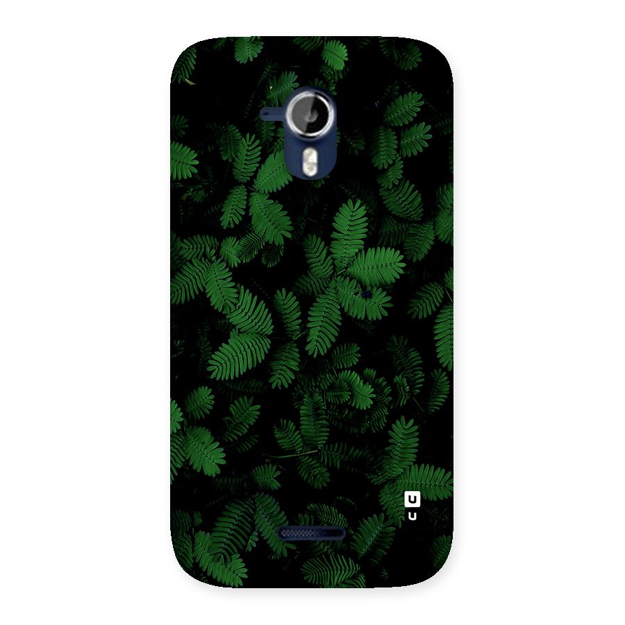 Beautiful Touch Me Not Back Case for Canvas Magnus A117