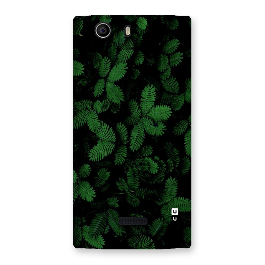 Beautiful Touch Me Not Back Case for Canvas Nitro 2 E311