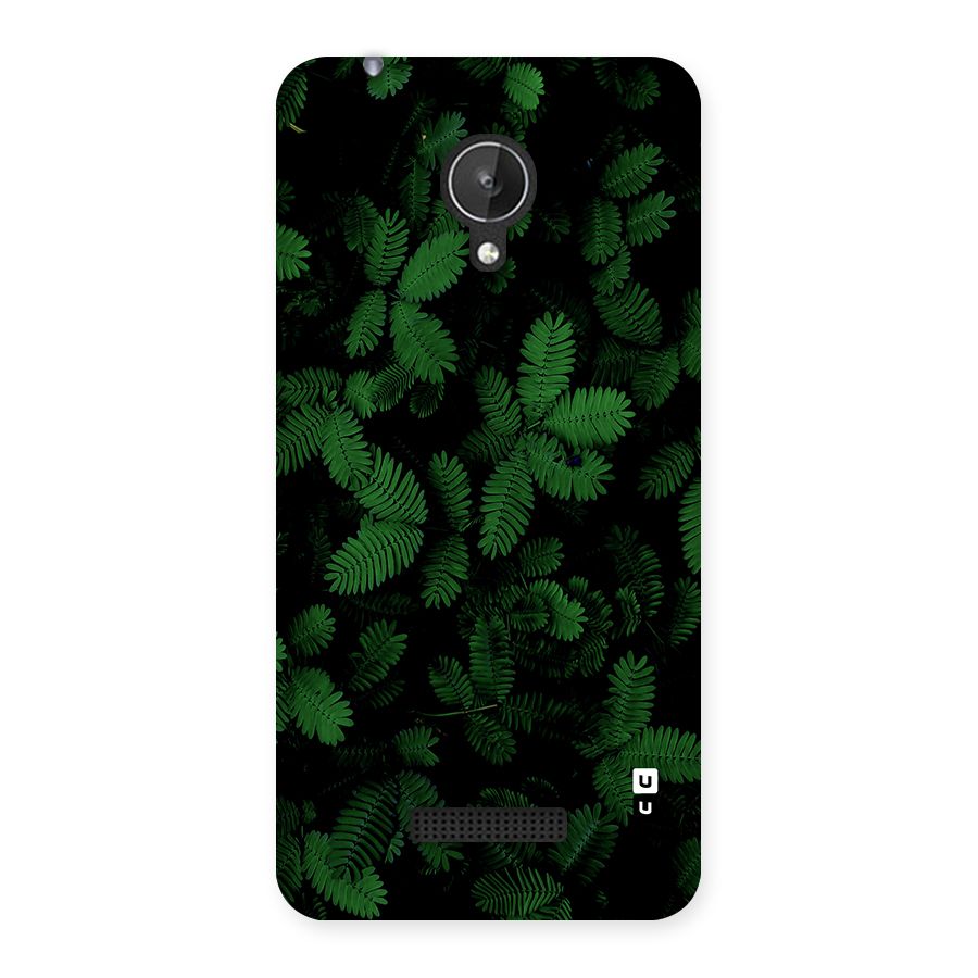 Beautiful Touch Me Not Back Case for Canvas Spark Q380