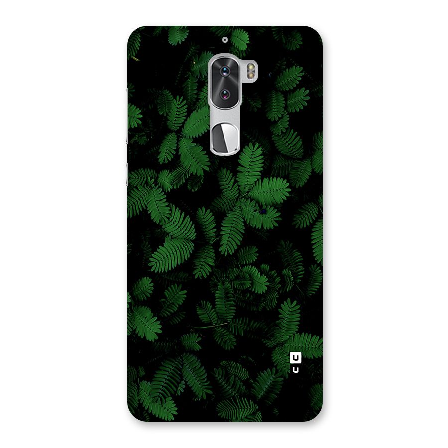 Beautiful Touch Me Not Back Case for Coolpad Cool 1