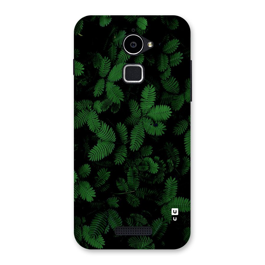 Beautiful Touch Me Not Back Case for Coolpad Note 3 Lite
