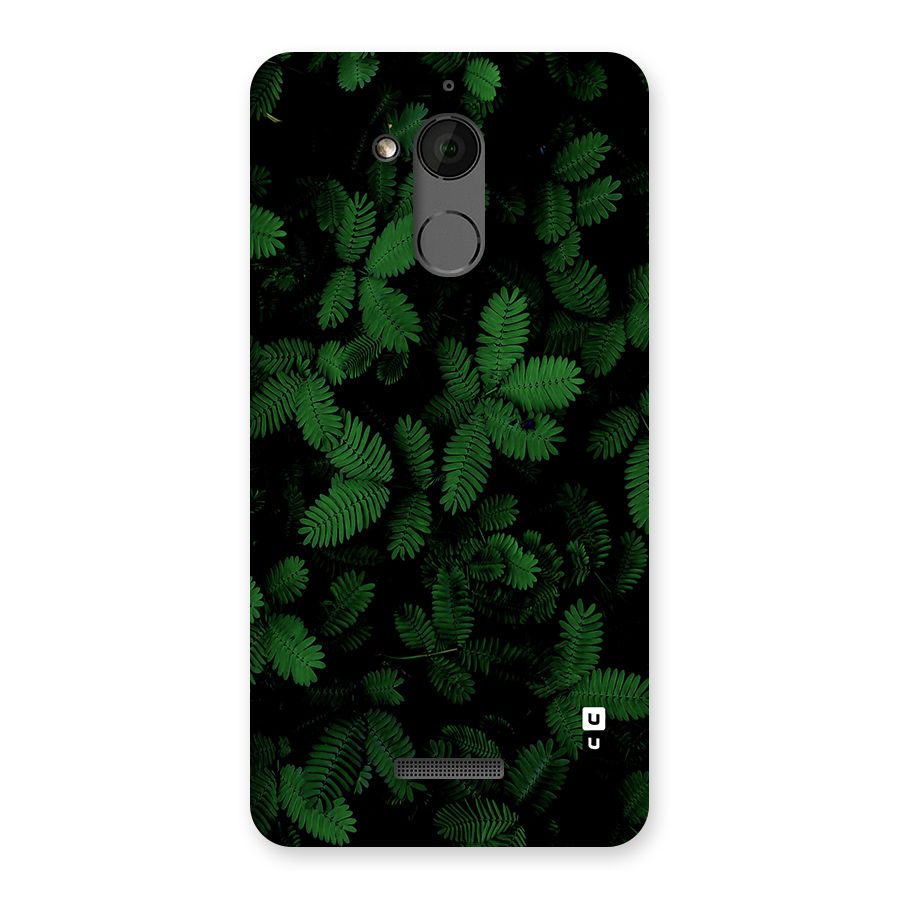 Beautiful Touch Me Not Back Case for Coolpad Note 5