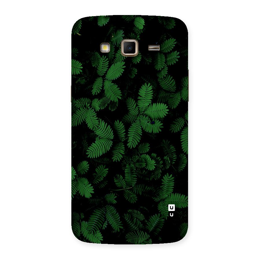 Beautiful Touch Me Not Back Case for Galaxy Grand 2