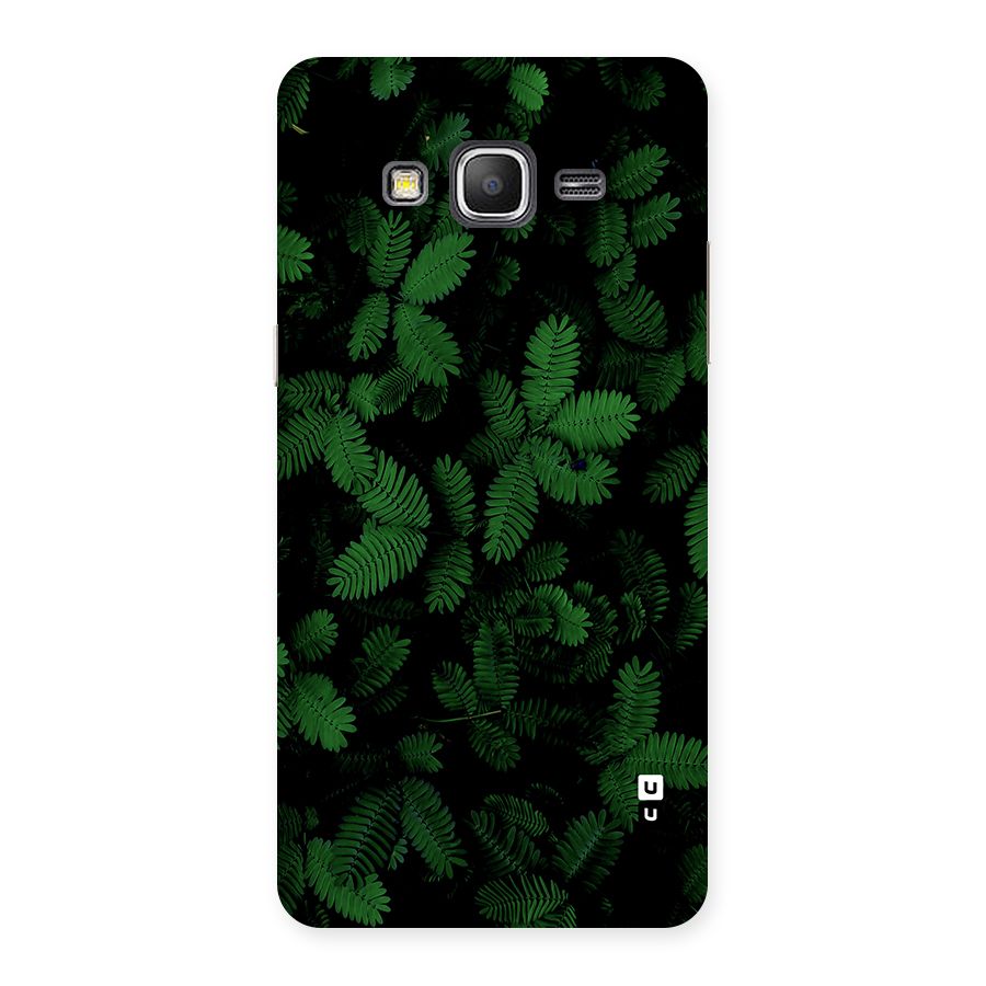 Beautiful Touch Me Not Back Case for Galaxy Grand Prime