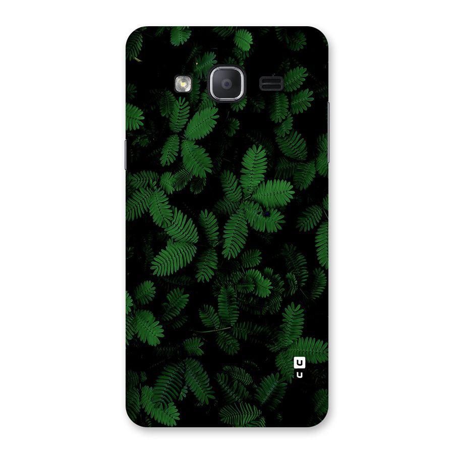 Beautiful Touch Me Not Back Case for Galaxy On7 2015