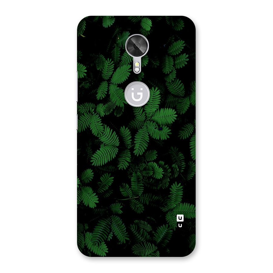 Beautiful Touch Me Not Back Case for Gionee A1
