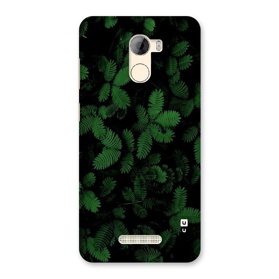 Beautiful Touch Me Not Back Case for Gionee A1 LIte
