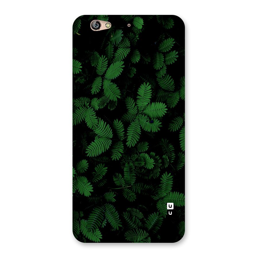 Beautiful Touch Me Not Back Case for Gionee S6