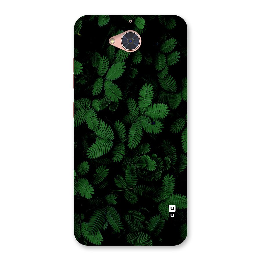 Beautiful Touch Me Not Back Case for Gionee S6 Pro