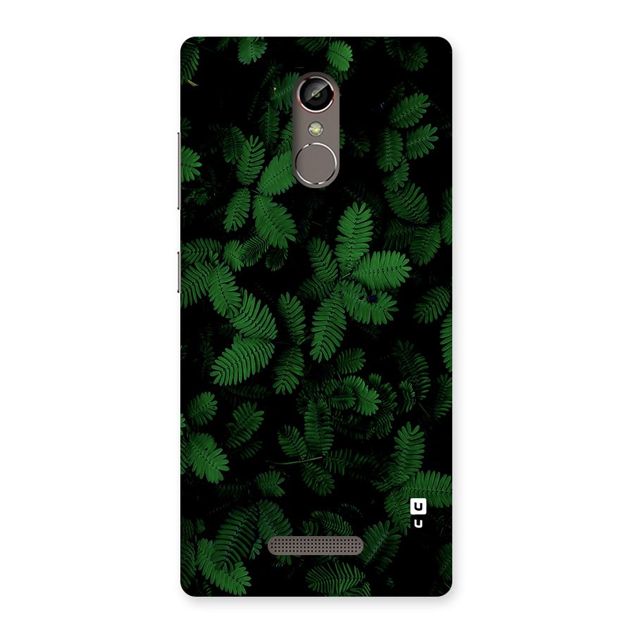 Beautiful Touch Me Not Back Case for Gionee S6s