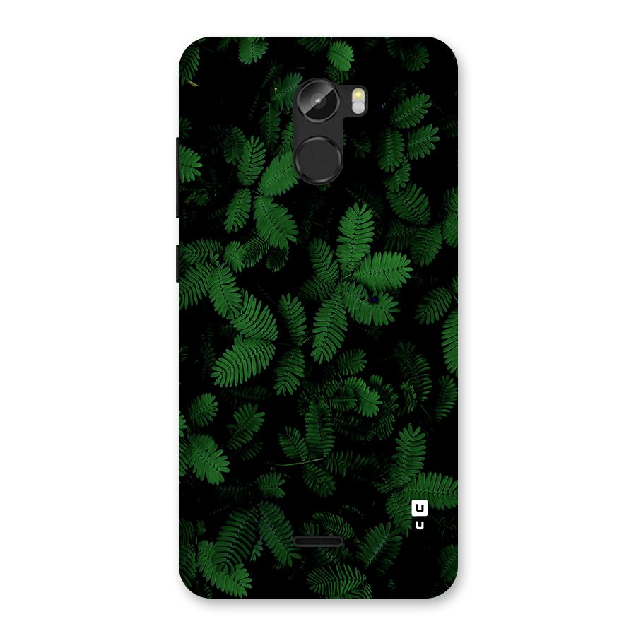 Beautiful Touch Me Not Back Case for Gionee X1