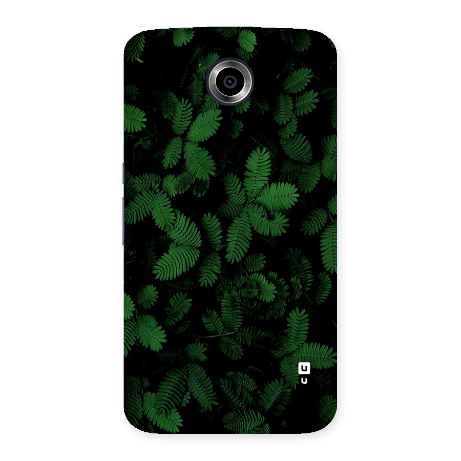 Beautiful Touch Me Not Back Case for Google Nexus 6