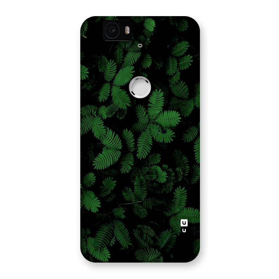 Beautiful Touch Me Not Back Case for Google Nexus 6P