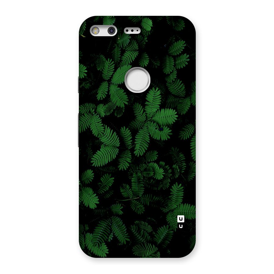 Beautiful Touch Me Not Back Case for Google Pixel