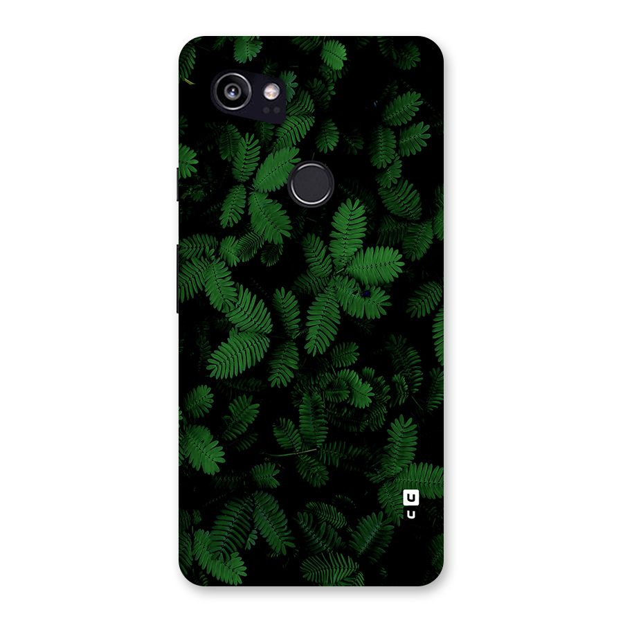 Beautiful Touch Me Not Back Case for Google Pixel 2 XL
