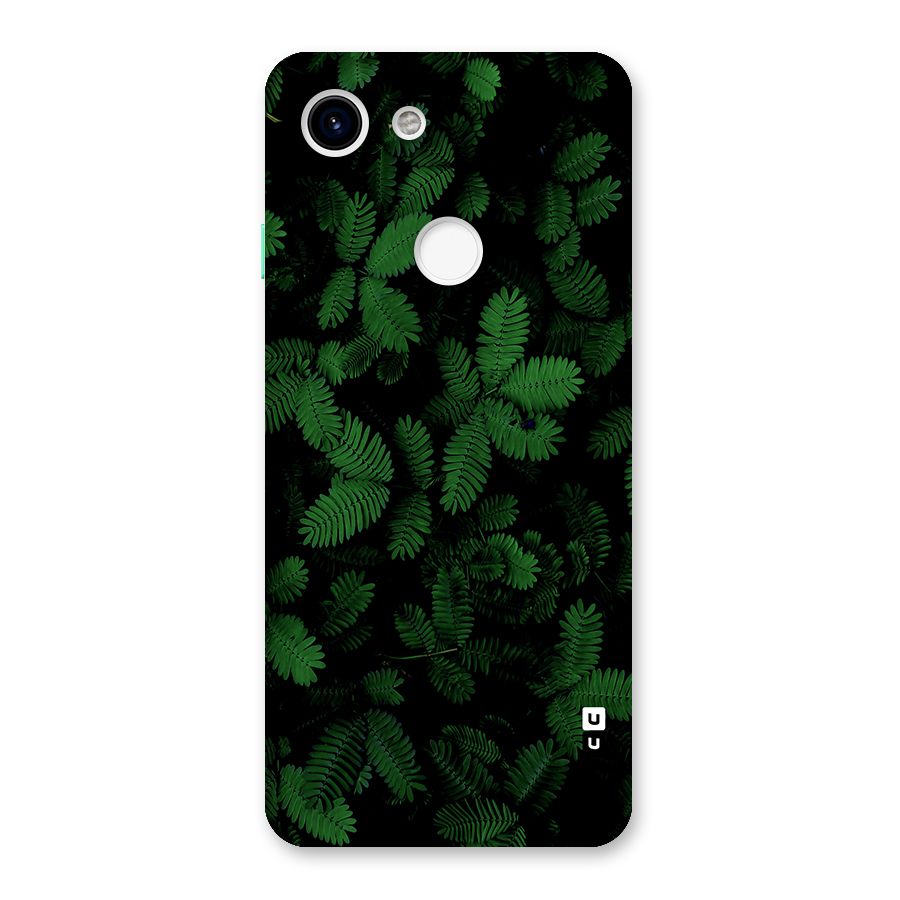Beautiful Touch Me Not Back Case for Google Pixel 3