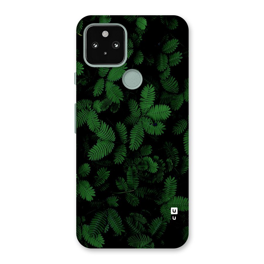 Beautiful Touch Me Not Back Case for Google Pixel 5