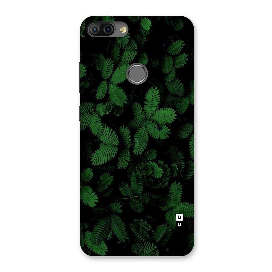 Beautiful Touch Me Not Back Case for Infinix Hot 6 Pro
