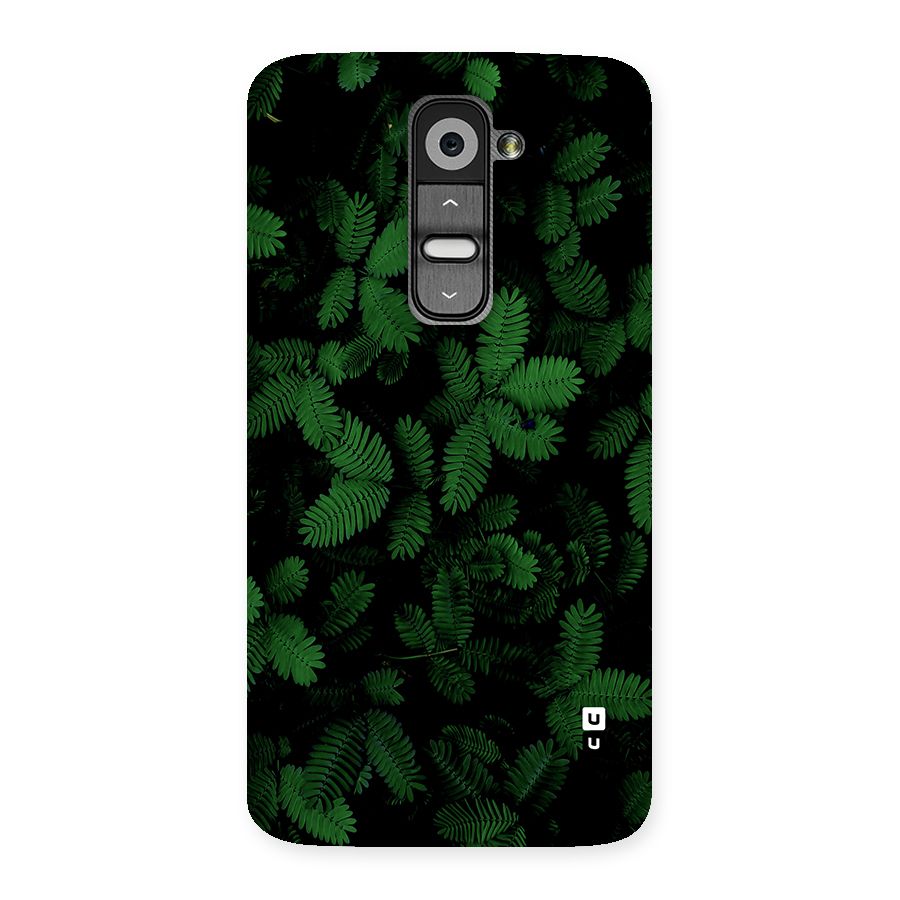 Beautiful Touch Me Not Back Case for LG G2