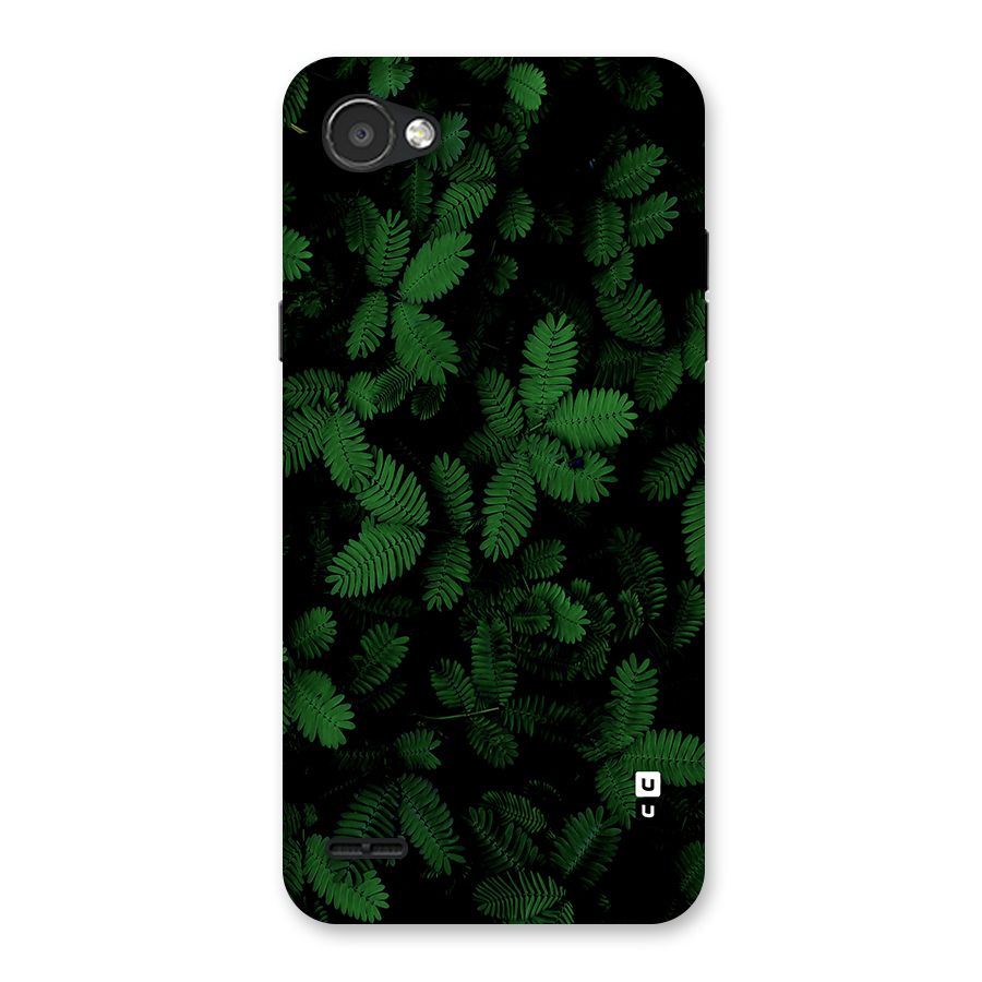 Beautiful Touch Me Not Back Case for LG Q6