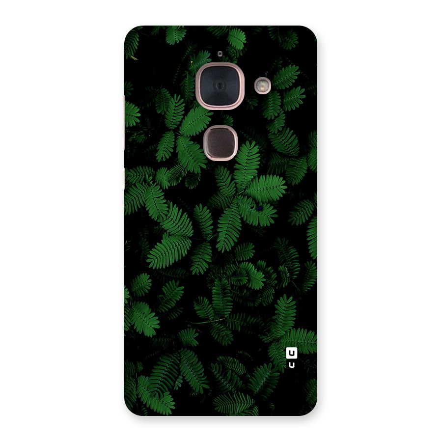 Beautiful Touch Me Not Back Case for Le Max 2