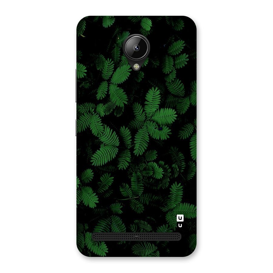 Beautiful Touch Me Not Back Case for Lenovo C2