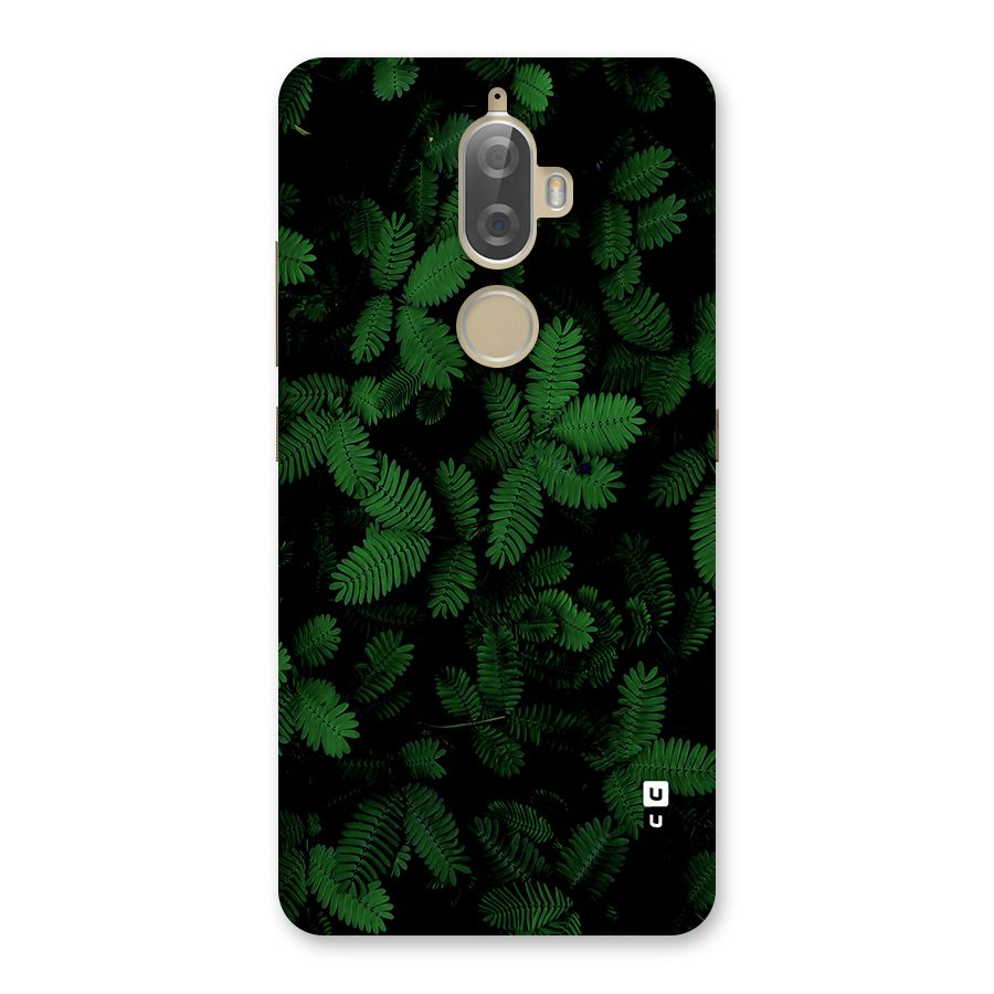 Beautiful Touch Me Not Back Case for Lenovo K8 Plus
