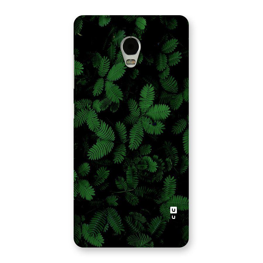 Beautiful Touch Me Not Back Case for Lenovo Vibe P1