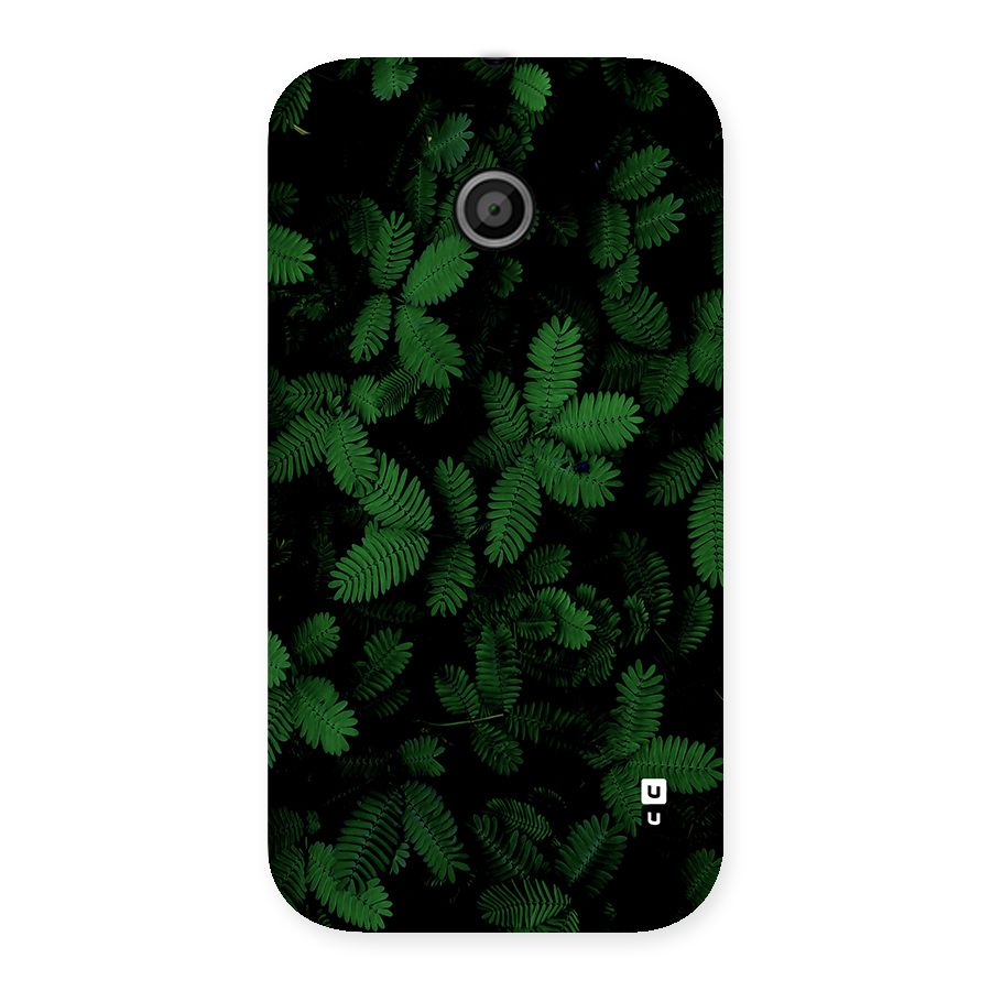 Beautiful Touch Me Not Back Case for Moto E