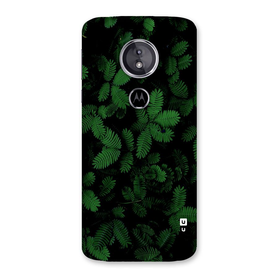 Beautiful Touch Me Not Back Case for Moto E5