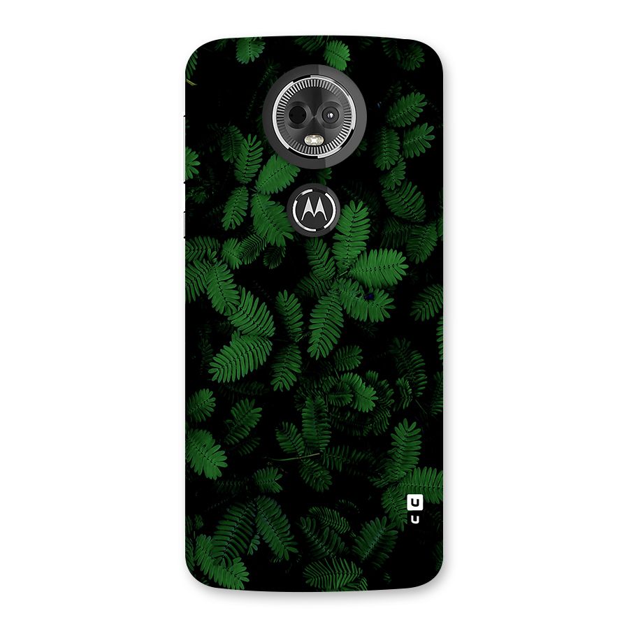 Beautiful Touch Me Not Back Case for Moto E5 Plus