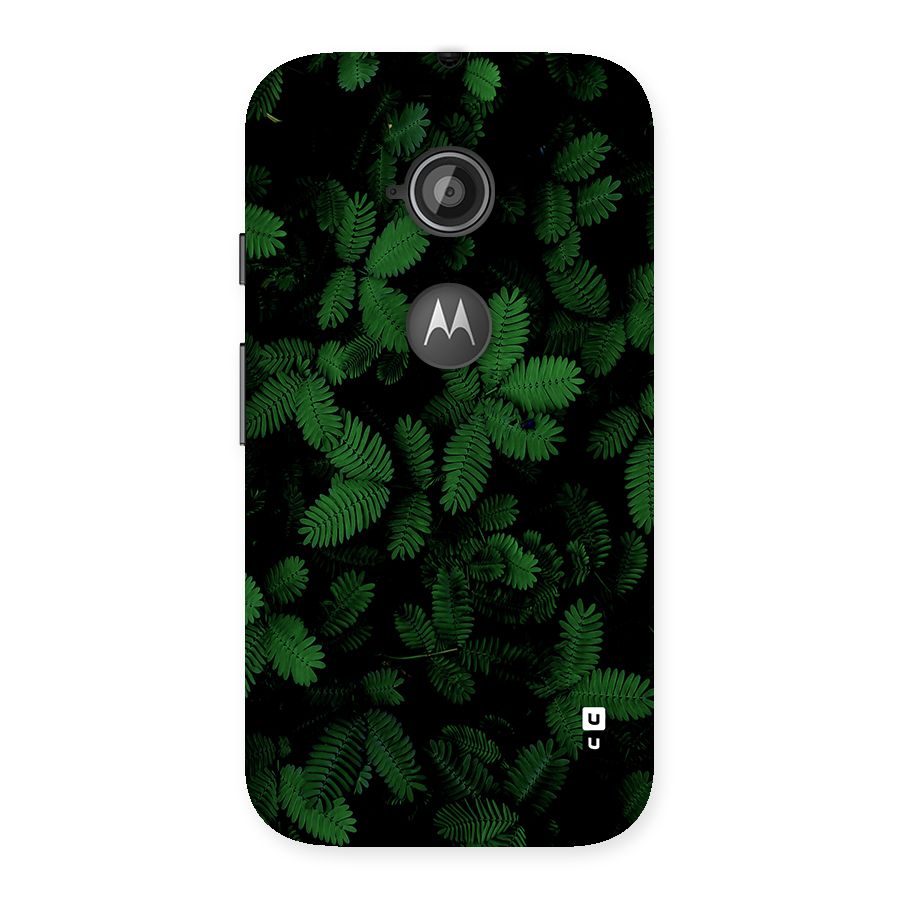 Beautiful Touch Me Not Back Case for Moto E 2nd Gen