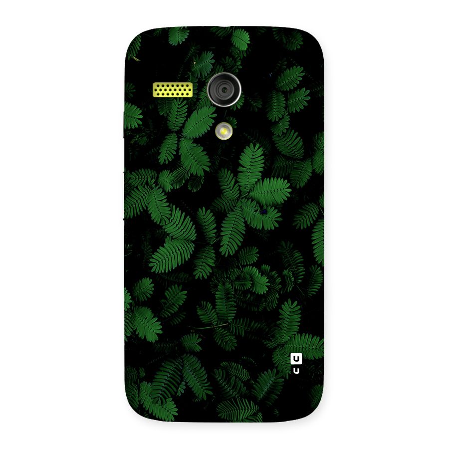 Beautiful Touch Me Not Back Case for Moto G
