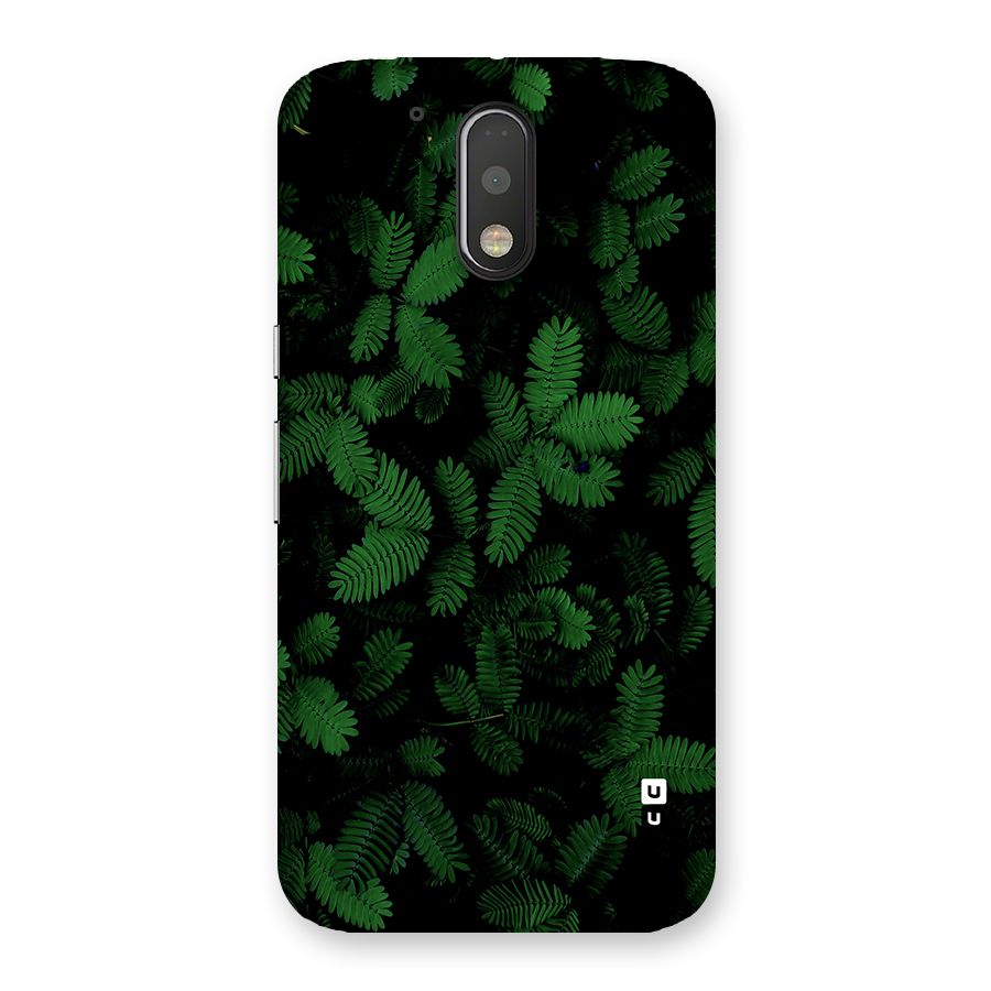 Beautiful Touch Me Not Back Case for Moto G4