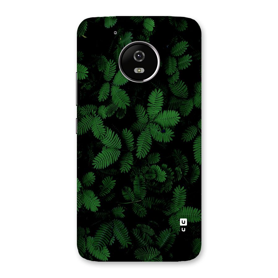 Beautiful Touch Me Not Back Case for Moto G5