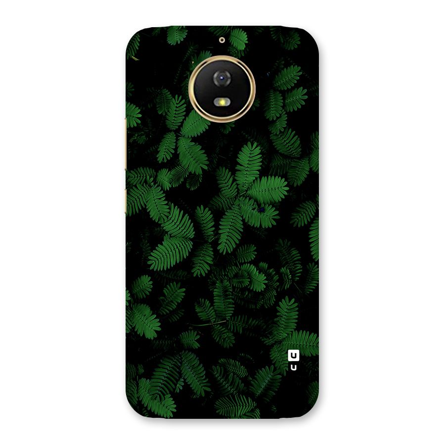 Beautiful Touch Me Not Back Case for Moto G5s