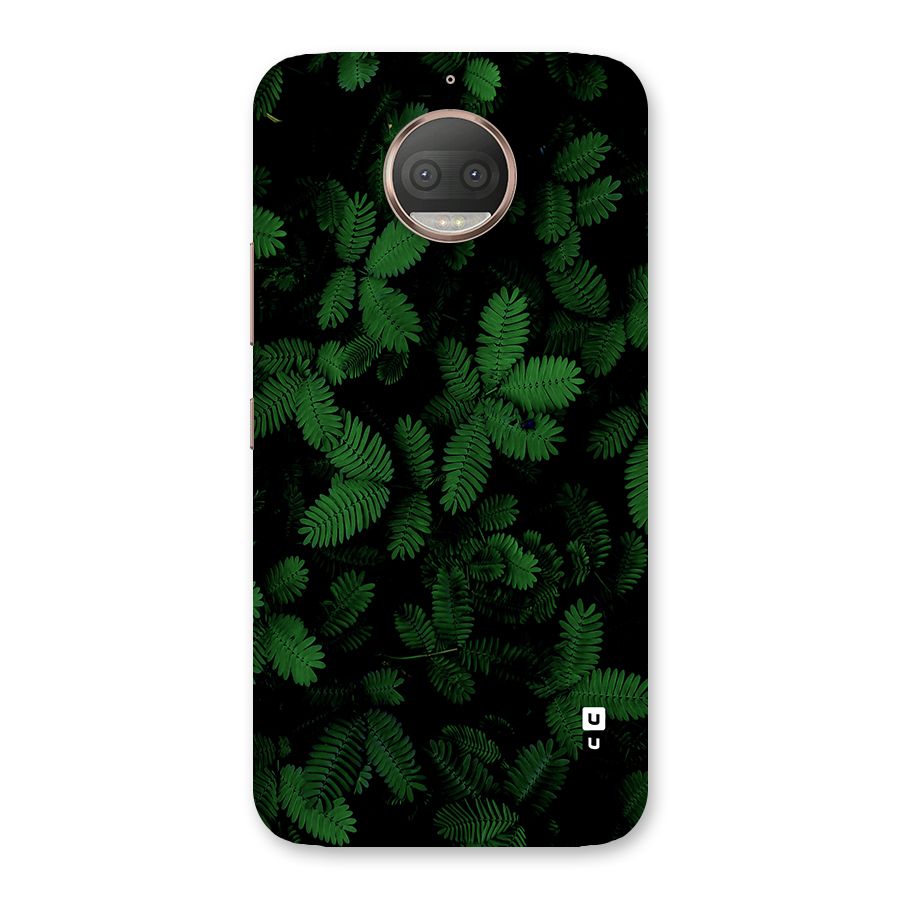 Beautiful Touch Me Not Back Case for Moto G5s Plus