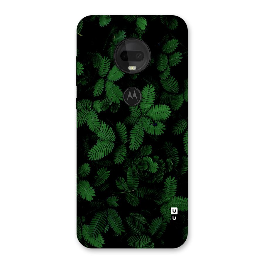 Beautiful Touch Me Not Back Case for Moto G7