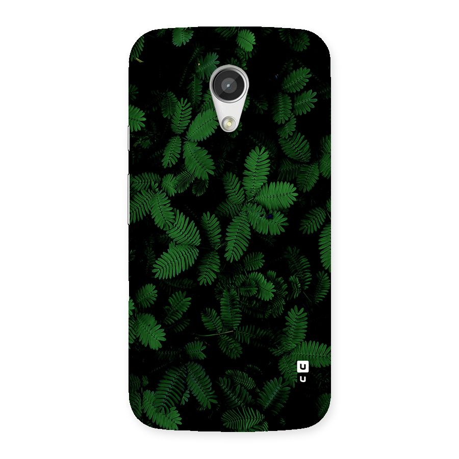 Beautiful Touch Me Not Back Case for Moto G 2nd Gen