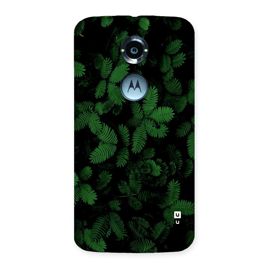 Beautiful Touch Me Not Back Case for Moto X2