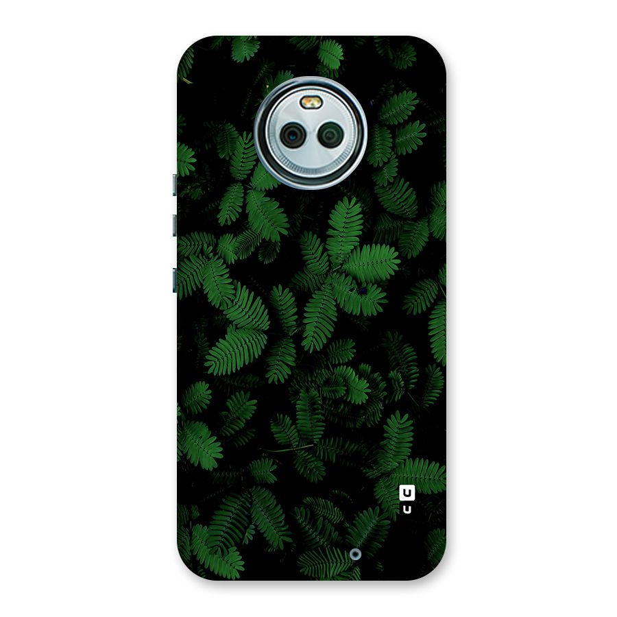 Beautiful Touch Me Not Back Case for Moto X4
